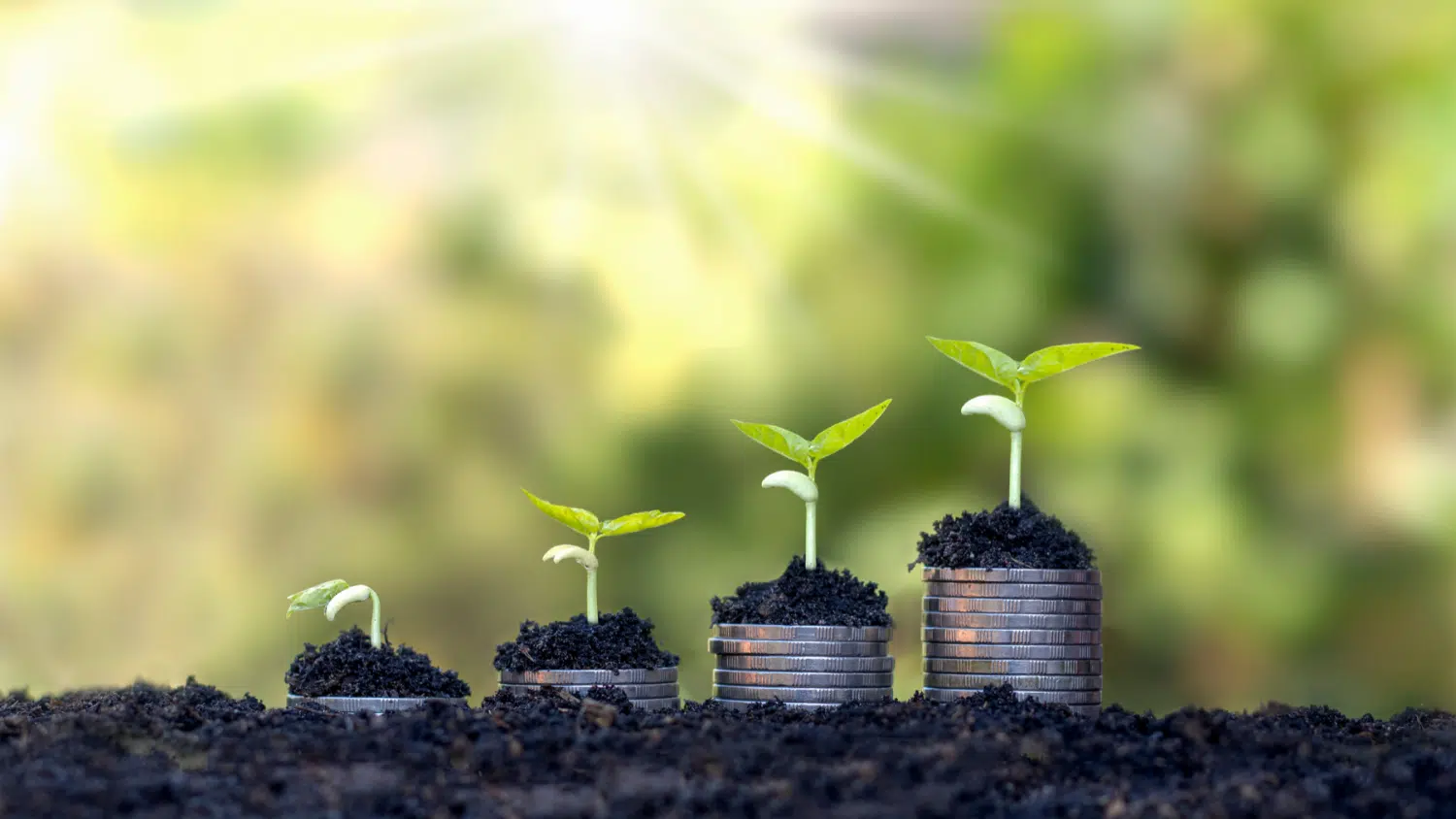 Financial-Growth-Image-for-PR