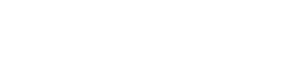 Professional Transportation Inc.